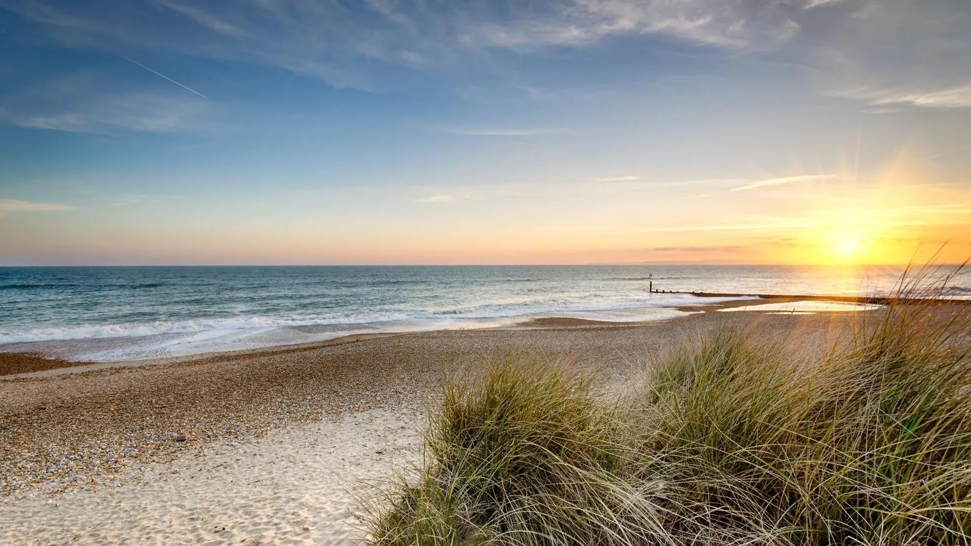 Bed & Breakfast Cosy Bee And Apartment Bournemouth